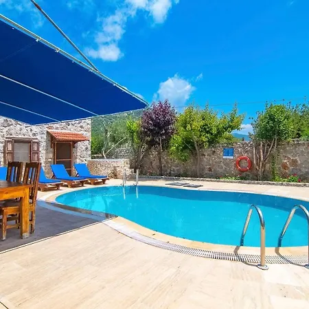 Villa Merkezi Konumda Oezel Havuzlu Tas Kinali (Aegean)