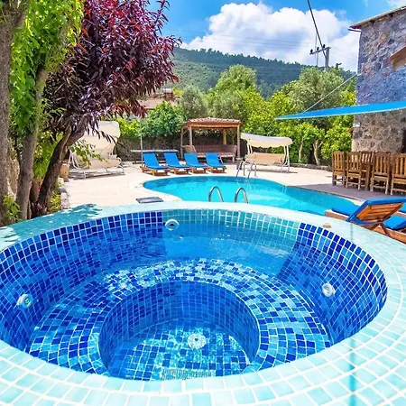 Merkezi Konumda Oezel Havuzlu Tas Villa *