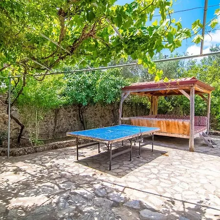 Vilă Merkezi Konumda Oezel Havuzlu Tas