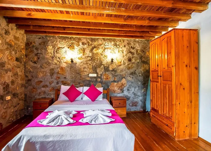 Merkezi Konumda Oezel Havuzlu Tas Villa